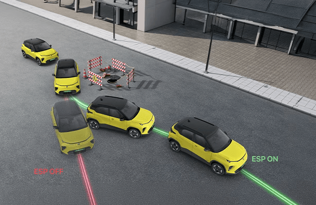 Electronic Stability Program (ESP)